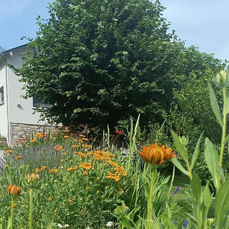 Bed and Breakfast Le Domaine De Moise La Fouillade Exterior foto